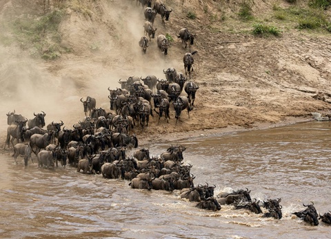 Circuit Lumières d'Afrique Safari au coeur du Kenya - 14