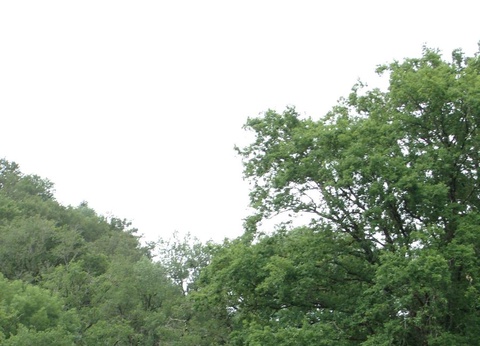 Village Vacances Les Chalets de la Gazonne, 2* - 67