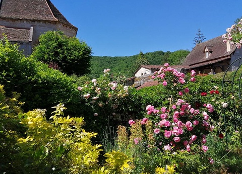 Camping La Truffière, 3* - 54