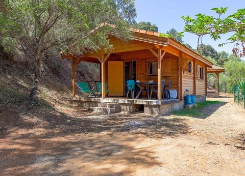 Flower Camping Torraccia 3* - 12