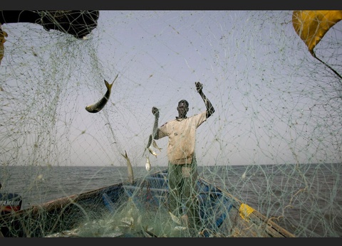 Circuit Privatif Evasion au Sénégal entre Culture et Plage - 15