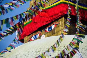 Népal Intimiste - 2