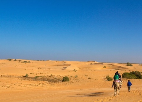 Circuit Sénégal, au coeur d'une nature intense (maximum 6 participants) *** - 6