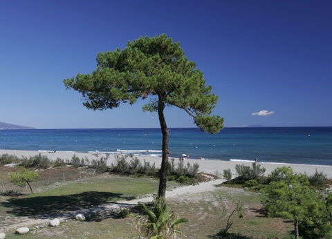 Résidence Cala Bianca 3* ( avec vols vacances ) - 4