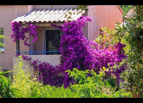 Résidence Benista 3* - 16