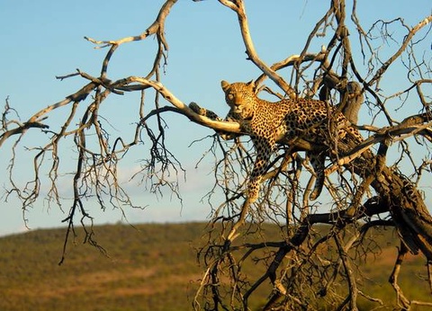 Aventure en Namibie et extension Fish River Canyon - 5