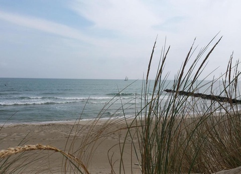 Camping Abri de Camargue, 4* - 60