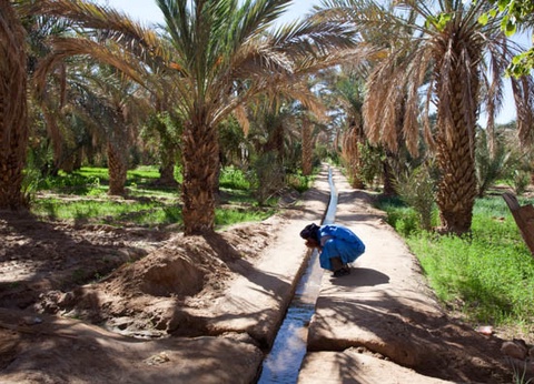 Circuit Voyage en liberté, de Marrakech aux dunes de Merzouga - 5