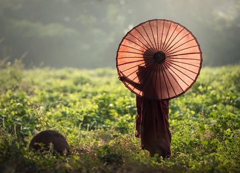 Circuit Merveilles de Birmanie - 3