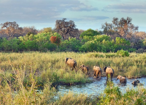 Circuit A la découverte de l'Afrique du Sud - 9