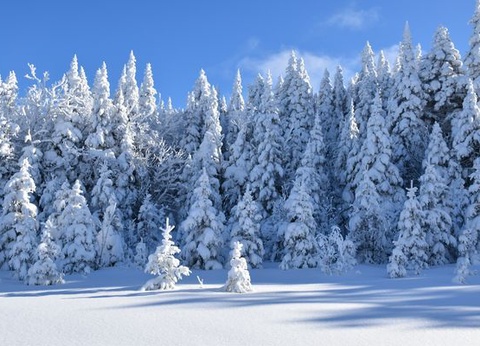 Splendeurs du Québec en hiver 8J/6N - 3