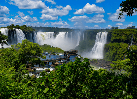 Circuit Baianas et Cariocas, Trésors du Brésil et Plaines du Pantanal - 22