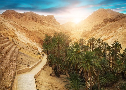 Circuit Mer et Désert 4* - 11