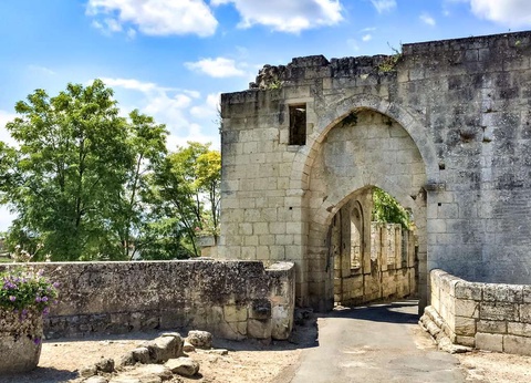 A la découverte des vins et de la cité médiévale de Saint-Emilion - 3* - 7