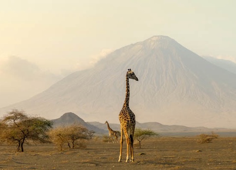 Circuit Safari Bahashishi - 6