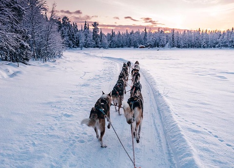 Hôtel Levi Hotel Spa Resort 4* - 10