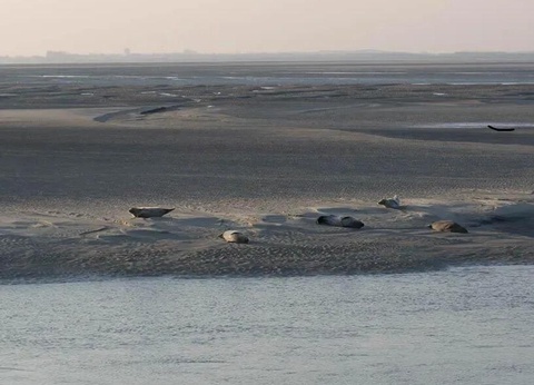 Camping Le Walric, 4* - 41