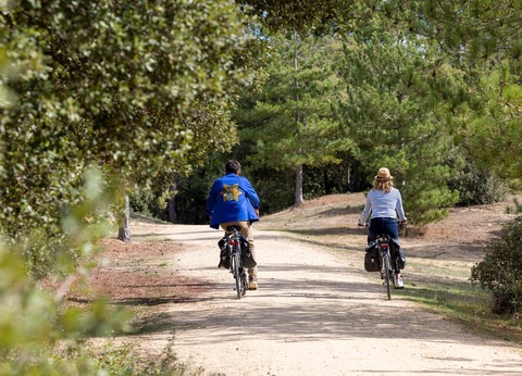 Flower Camping La Davière Plage, 4* - 97