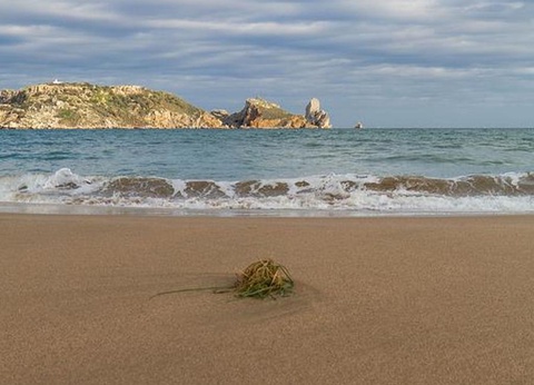 Camping Mas Patoxas, 4* - 41