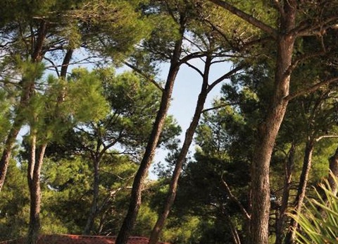 Camping Résidentiel La Pinède, 4* - 26