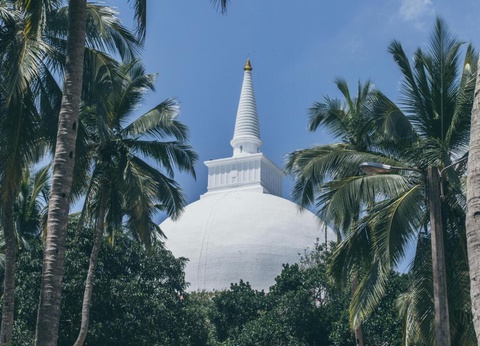 Circuit Escapade Sri Lankaise - 7