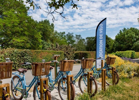 Flower Camping l'Ile d'Offard, 4* - 43