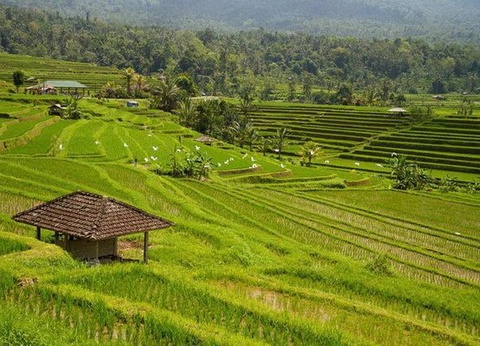 Circuit Bali Essentiel - 16