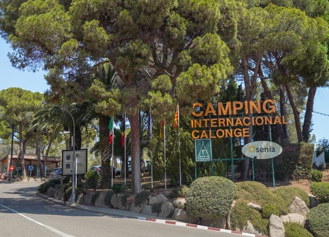 Camping Sènia Cala Gogo Internacional, 4* - 60