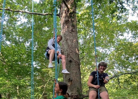 Camping la Cailletiere - Camping Paradis, 3* - 16