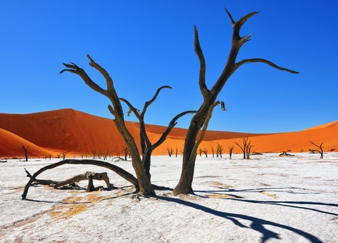 Circuit Merveilles de Namibie et Séjour Chobe et Chutes Victoria 18J/15N - 10