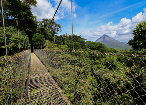 Circuit Joyaux Verts d'Amérique Centrale : du Costa Rica au Panama - 9