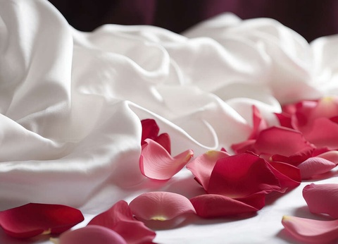 Séjour à deux avec accès spa, champagne et fleurs au coeur de Vannes - 4* - 19