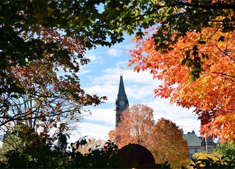 Circuit Les Cités Lumineuses - Canada et Etats-Unis 2 & 3* - 17