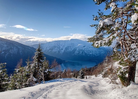 Circuit Féérie hivernale au coeur des fjords norvégiens - 2