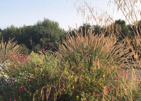 Camping Ty Nenez, 3* - 96