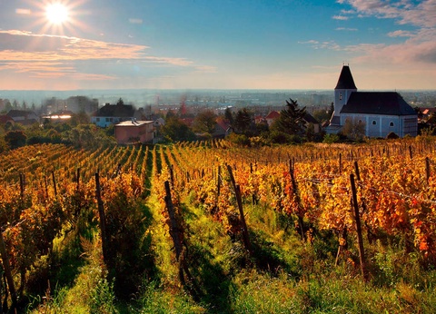 Escapade en Relais de Charme avec accès au Zoo de Beauval (à 40 min) - 4* - 3
