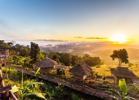 Combiné circuit et hôtel Essentiels de la Thaïlande + extension Palm Galleria - 20