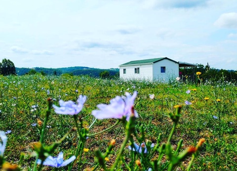 Camping Le Valenty - 83