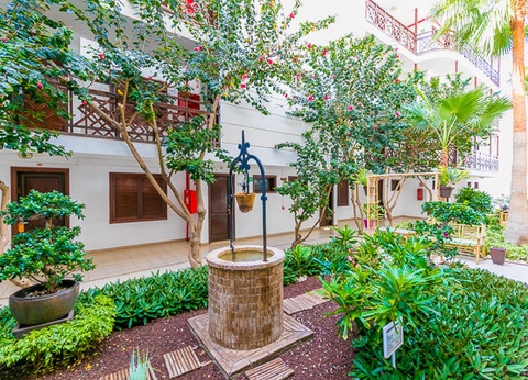 Hôtel Club Jumbo Globales Tamaimo Tropical 3* - 27