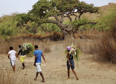 Circuit À la pointe nord de l'archipel, entre mer et montagne - 3