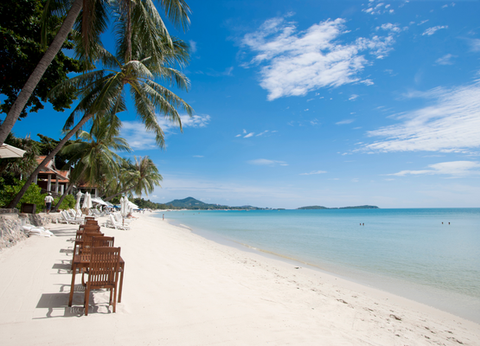 Hôtel Chaweng Cove Beach Resort 3* - 13