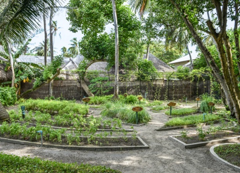 Hôtel Fram Sélection Adaaran Club Rannalhi 4* - 18