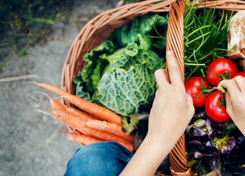 Camping les Bruyères, 3* - 29
