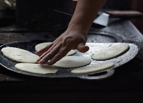 Circuit entre Jungles et Forêts du Costa Rica + extension Playa Samara - 17