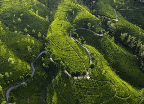 Circuit Trésors du Sri Lanka en Privatif et plage à Pasikudah 3* - 21