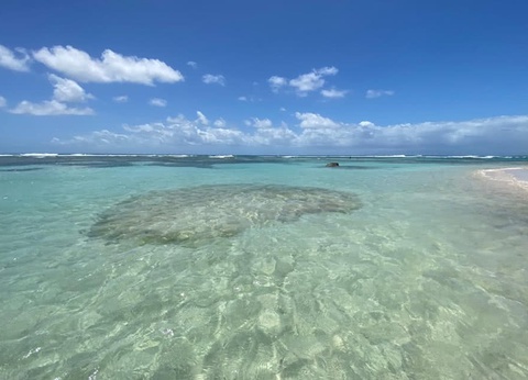 Karucoco Lodge - Deshaies - 5