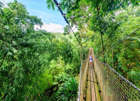 Autotour sur un rythme Créole en 7 nuits - 5