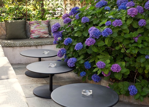 Hôtel Albion 3* ( avec vols réguliers ) - 2