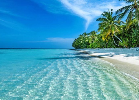 Circuit Incontournable Sri Lanka et Ôclub Experience Canareef Resort 4* - 15