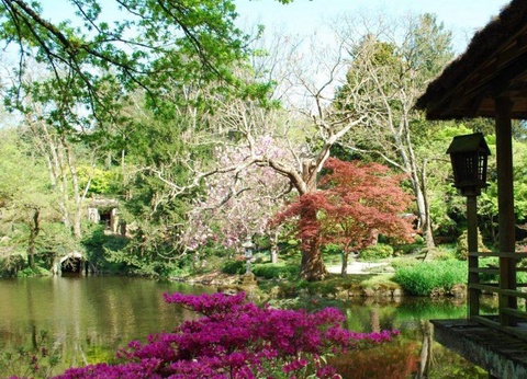 Camping Le Rouge Gorge 4* - 18